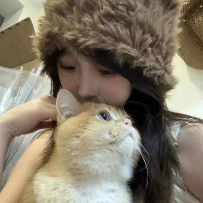 碧窗艳影